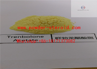 USP Trenbolone Acetate/ Tren Ace Powerful Injectable Bulking Steroids